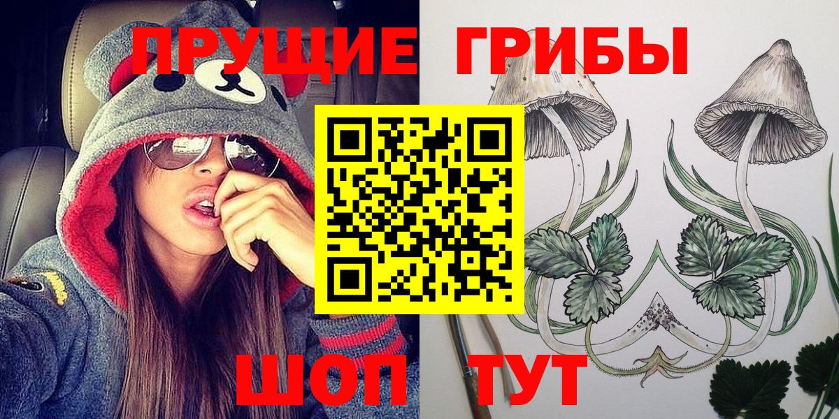 Псилоцибиновые грибы GOLDEN TEACHER Кондопога