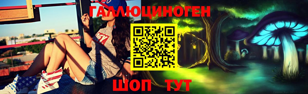 Галлюциногенные грибы Psilocybe  Вход с VPN  Псилоцибиновые грибы мухоморы  Кондопога 